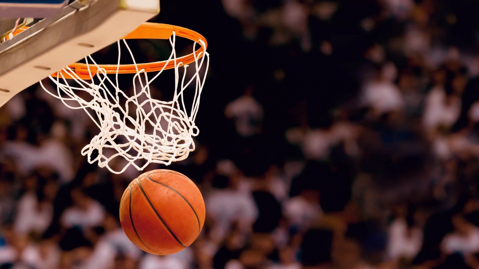 AYXSPORTSAPP-韩选手星际争霸训练营计划启动，星际争霸韩宗什么意思